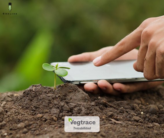 VegTrace tweet media