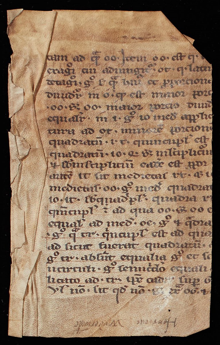 StJohnsOxLib's tweet image. As part of the St John&apos;s College Digitization Project, several medieval binding fragments are being photographed. This is MS 235 (fragment 24[a]), a 13th-century vellum fragment written in gothic textura semiquadrata.

#medievaltwitter #fragmentology