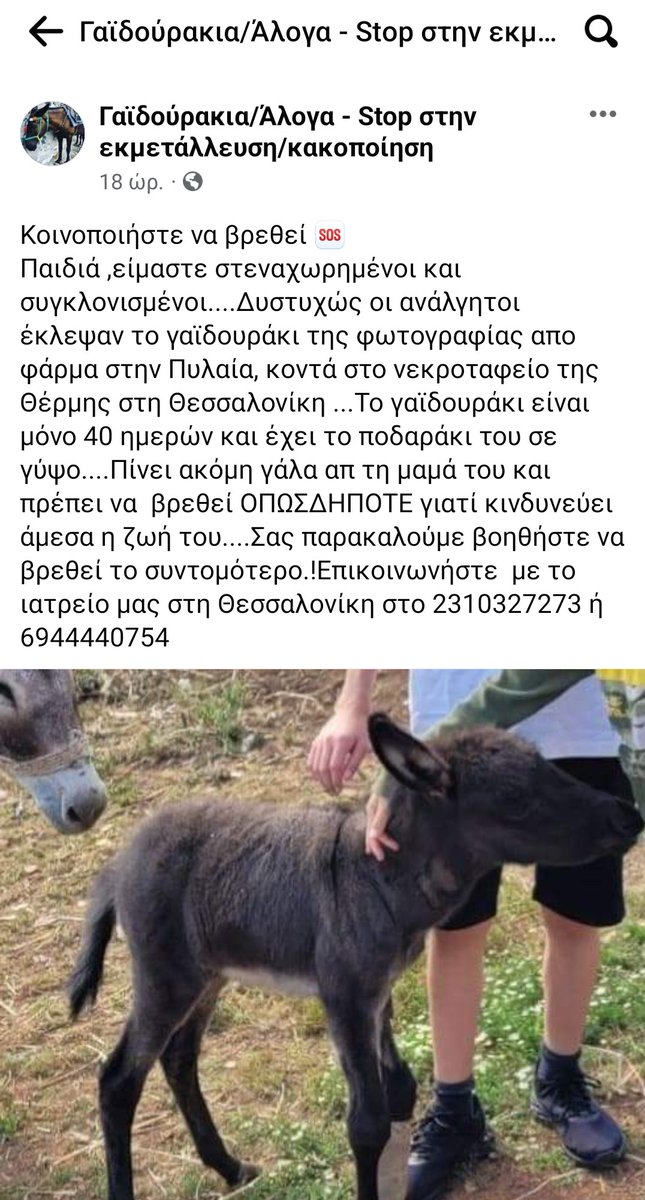Έκλεψαν το γαϊδουράκι 40 μερών με το γύψο στο πόδι από φάρμα στην Πυλαία. Παρακαλώ πολλά RT. #πυλαια #θεσαλλονικη