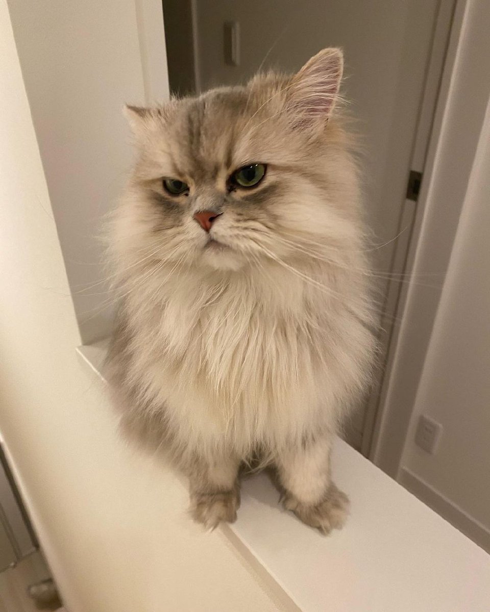 a grumpy baby like his mama 😆