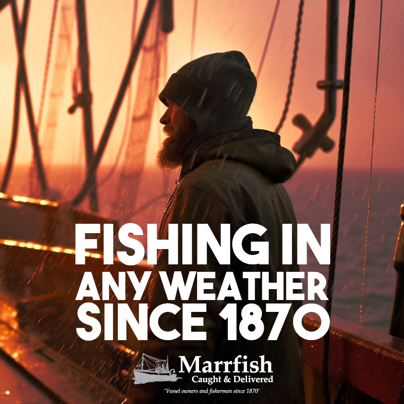 Our heritage dates back to 1870. Come rain or shine, we're working hard to provide the very best quality fish and seafood for chefs and establishments far and wide.
-
01279 501051
-
marrfish.co.uk
-
#seafood #wholesaler #fishermen #restaurant #restaurants #finedining