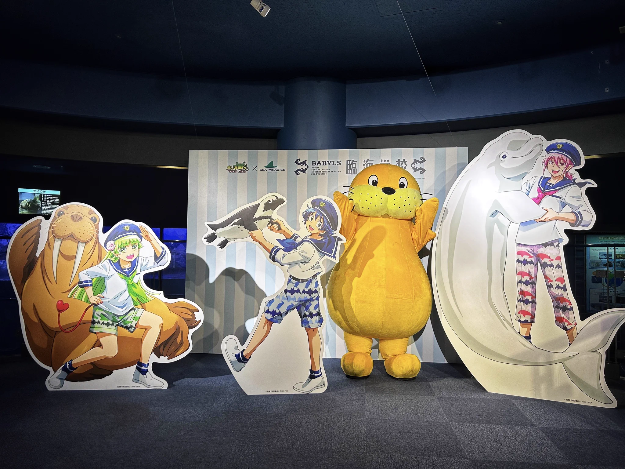 公式】横浜・八景島シーパラダイス アニメ/ゲーム部🪼 on X: 