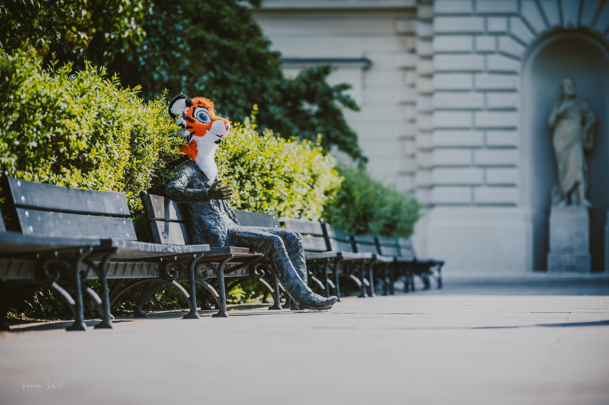 sw__wolf tweet media