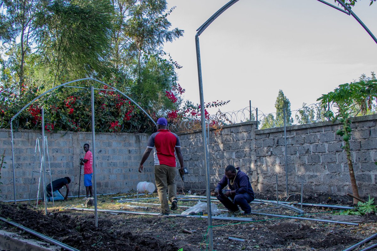 synnefa_KE's tweet photo. Story story!
1/4 🌱🔨 We embarked on an exciting journey in Kitengela thrilled to build a metal greenhouse for a visionary farmer who believed in the power of Synnefa's innovation. #AgritechAdventures #GreenhouseProject https://t.co/TgeiZIPGyq
