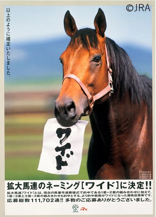 JRA 勝馬投票券 ナイスネイチャ 天皇賞 有馬記念 2枚セット FxcjIfmaIAAZZNP?format=webp&