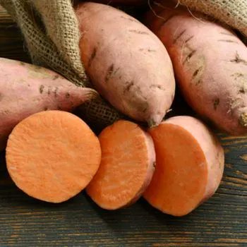 Isubirake's tweet photo. "Calling all wholesale buyers! 

iSubira is your one-stop solution! Our sustainably sourced sweet potatoes, avocados,  and rice are sure to impress your customers. 

DM us today to discuss partnership opportunities.
 
Contact +254701 848 902
 
#WholesalePartnership #KenyanProduce https://t.co/UYLXT6V9qe