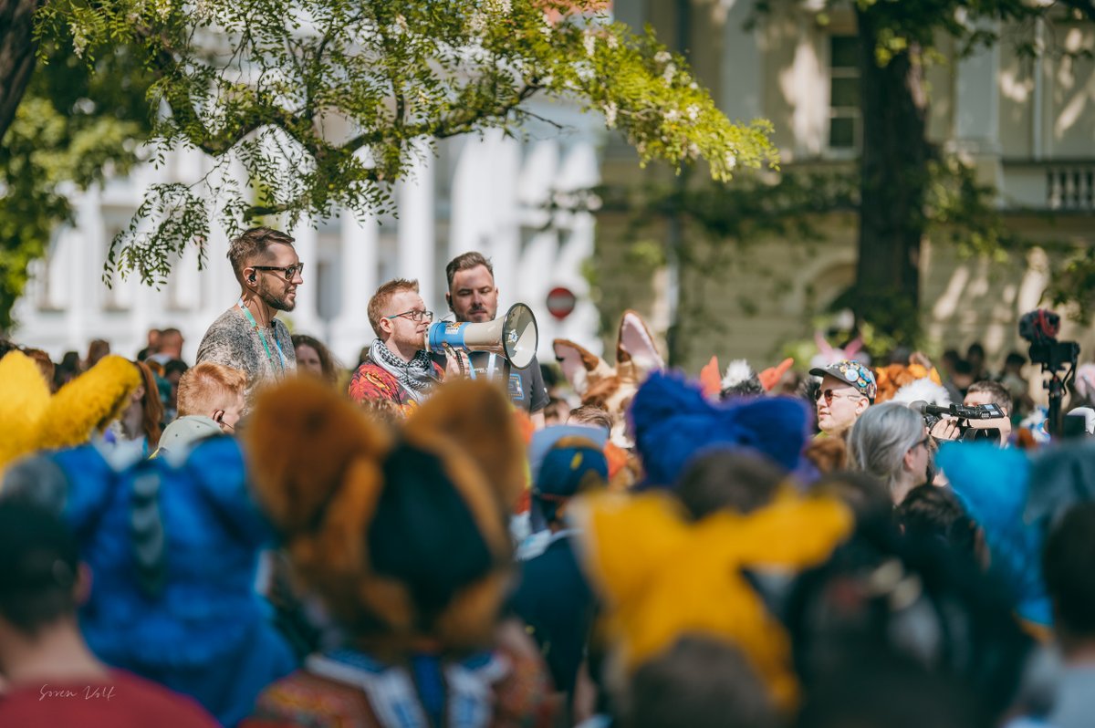 sw__wolf tweet media