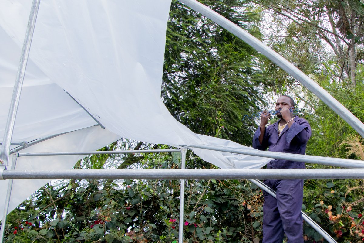 synnefa_KE's tweet photo. Story story!
1/4 🌱🔨 We embarked on an exciting journey in Kitengela thrilled to build a metal greenhouse for a visionary farmer who believed in the power of Synnefa's innovation. #AgritechAdventures #GreenhouseProject https://t.co/TgeiZIPGyq