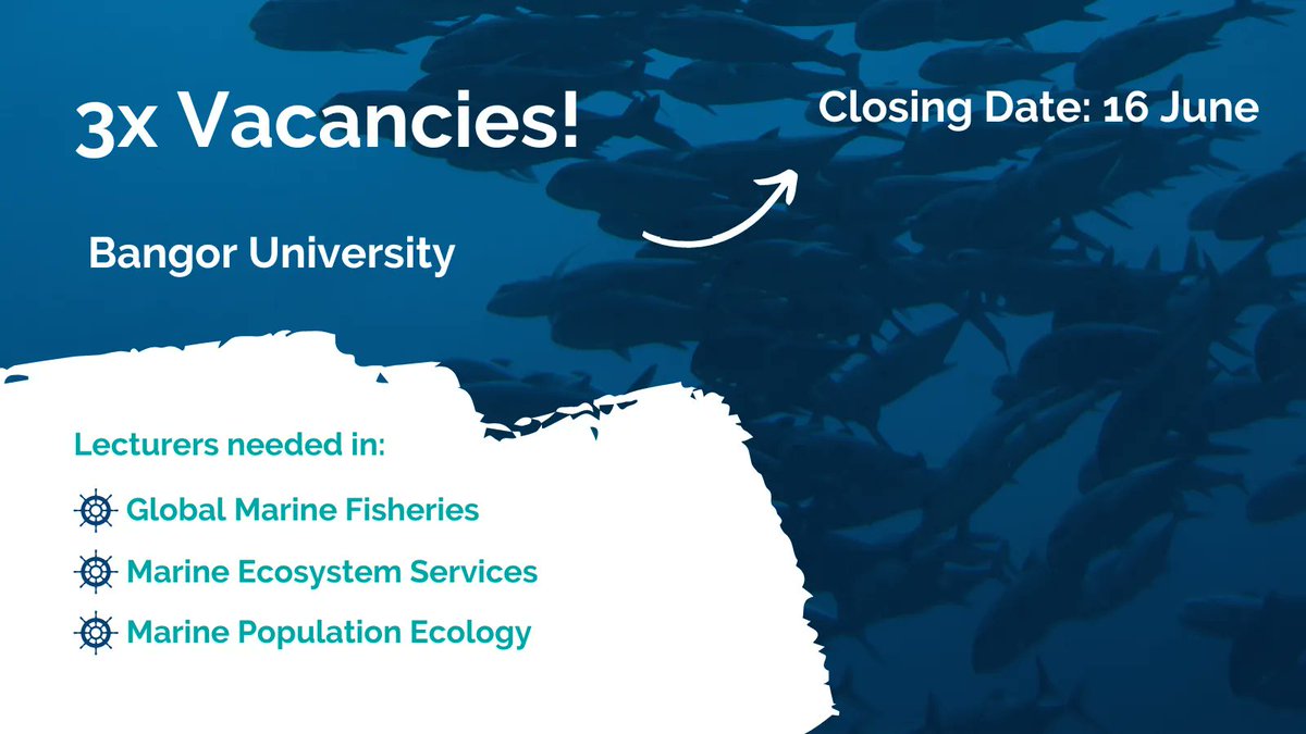 Passionate about teaching #marine biology in higher education?

<a href="/BangorUni/">Bangor University</a> is searching for three lecturers specialising in global #fisheries, ecosystem services, and population #ecology, to support @sos_bangor_uni.

Apply here 👉 buff.ly/3N03G3H