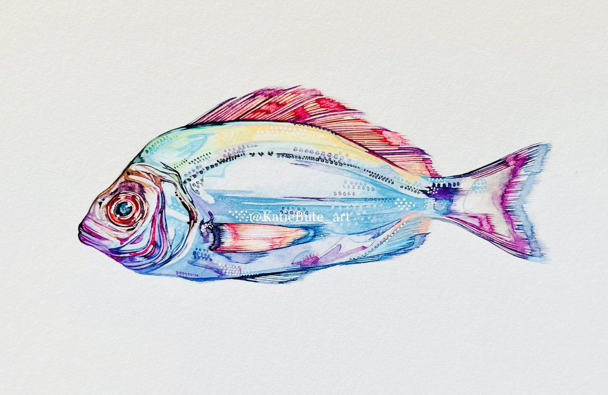 katiebute's tweet photo. Wahh! Pastel #fish will be available soon on my website! Last time I had these they #flewofftheshelf ! 🐟 This time I’ll also be donating a % of the sales to #worldoceanday #artforsale 
Sign up to my mailing list for first dibs on the latest #art https://t.co/G7frdPmqZT https://t.co/ueZEERpEVx