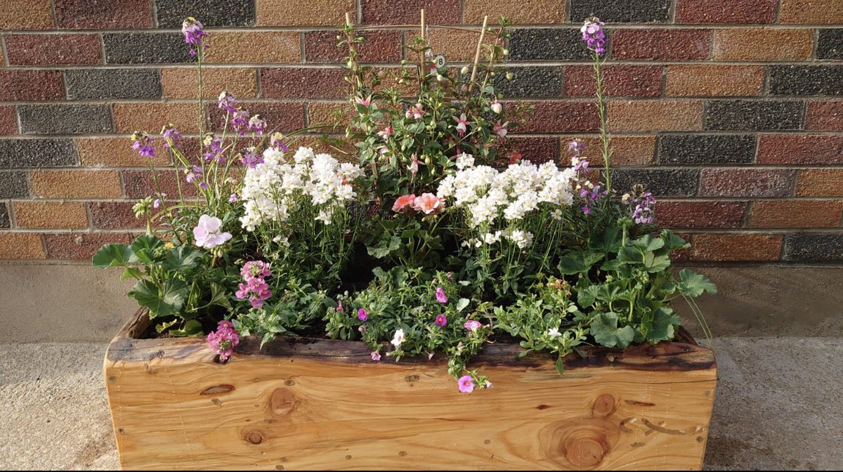 Would you like to enhance your garden in that glorious weather ? Handmade planters made to order , call us on 02866326478 for more info 🌞🌻🌼🌷🌹
#fermanagh