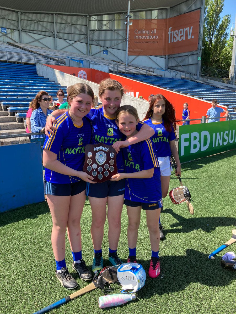 Lorrha GAA tweet media