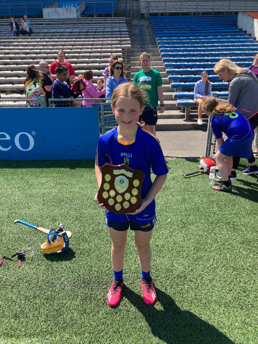 Lorrha GAA tweet media