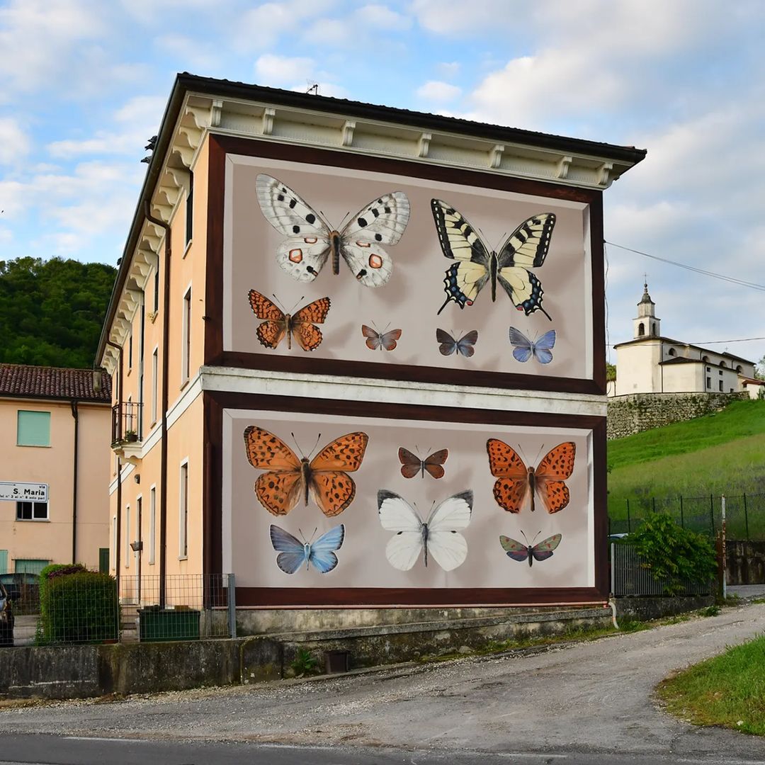 #Streetart by #Mantrarea @ #Arcugnano, Italy, curated by #AssociazioneJeos
More pics at: barbarapicci.com/2023/05/31/str…
#streetartArcugnano #streetartItaly #Italystreetart #butterfly #arteurbana #urbanart #murals #muralism #contemporaryart #artecontemporanea