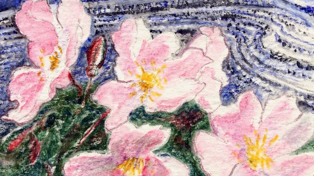 Burrenbeo Trust tweet media