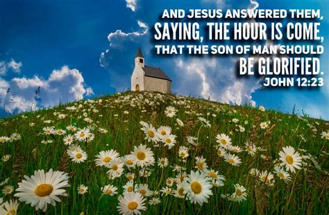 LLOYD2W's tweet photo. #QisJFKjr #TRUTH #MAGA #Jesus #TRUTHUK #YESHUA #YHWH #NESARA #HUNTER
JOHN 12
Jesus answered them, saying, “The hour has come that the Son of Man should be glorified. Most assuredly, I say to you, unless a grain of wheat falls into the ground and dies, it remains alone; but https://t.co/NozeoZTHH5