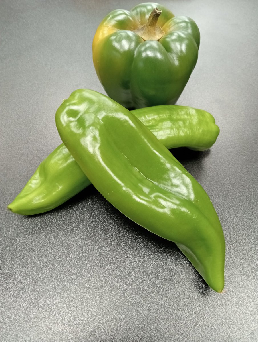 Gaia_ElBerron's tweet photo. Pimientos verdes , llenos de aroma y sabor 😋
Es verlos y entran ganas de un salteado 😂
#gaia #elberron #siero #asturias #ecologico #artesano #regalos #detalles #verdura #fruta #hortaliza #huertanacional https://t.co/wJnUZlabli