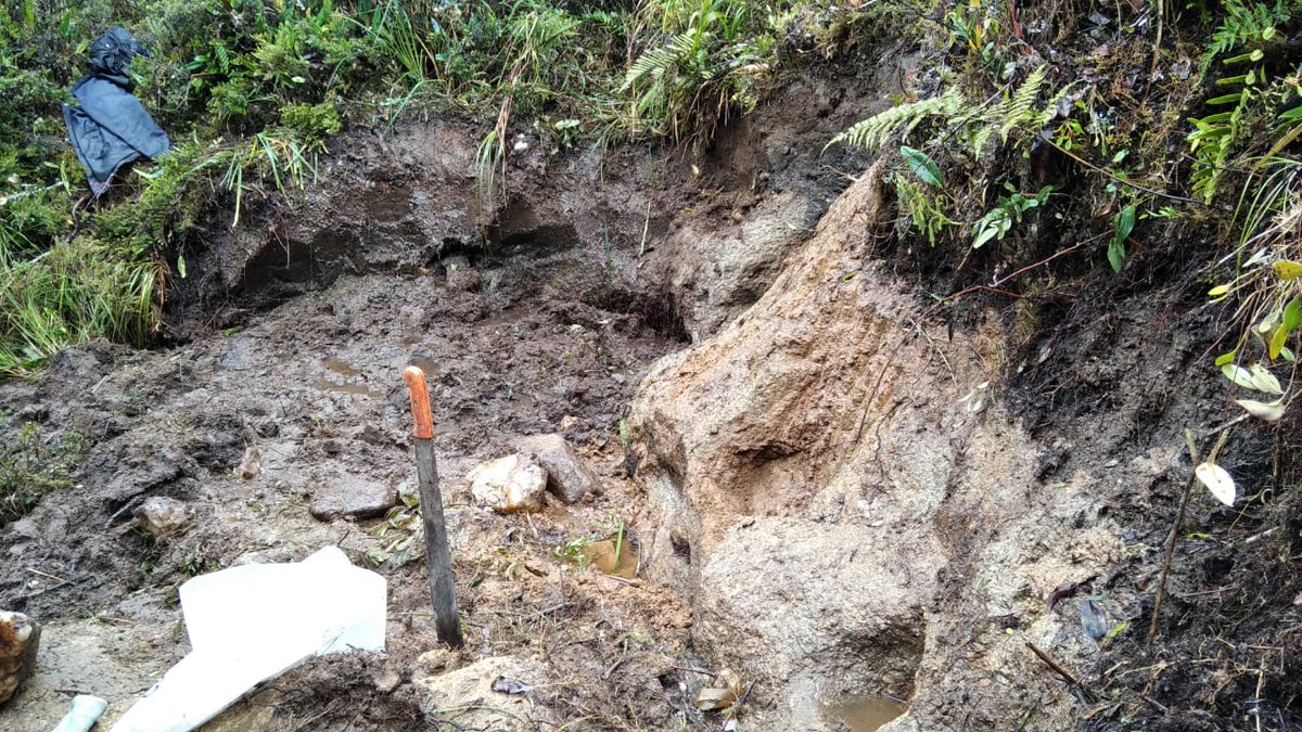 Lucky Minerals Inc. tweet media