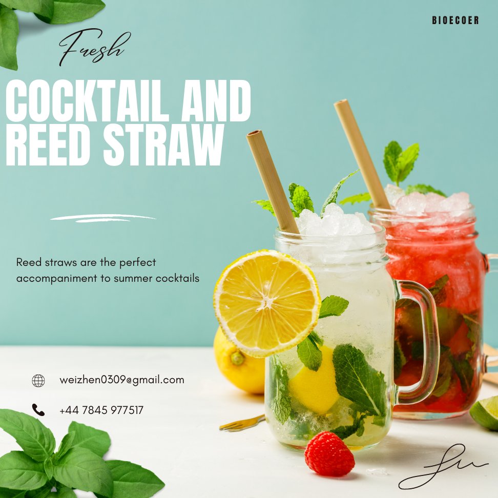 Every sip is a taste of nature! Reed straws bring a refreshing beverage experience, allowing you to enjoy the pure and natural flavor! Give it a try, and you'll fall in love with it! 🌾🥤 #ReedStraws #NaturalFlavor