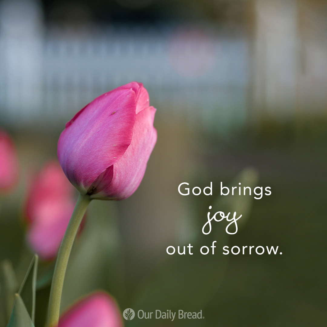 Our Daily Bread (@ourdailybread) on Twitter photo 