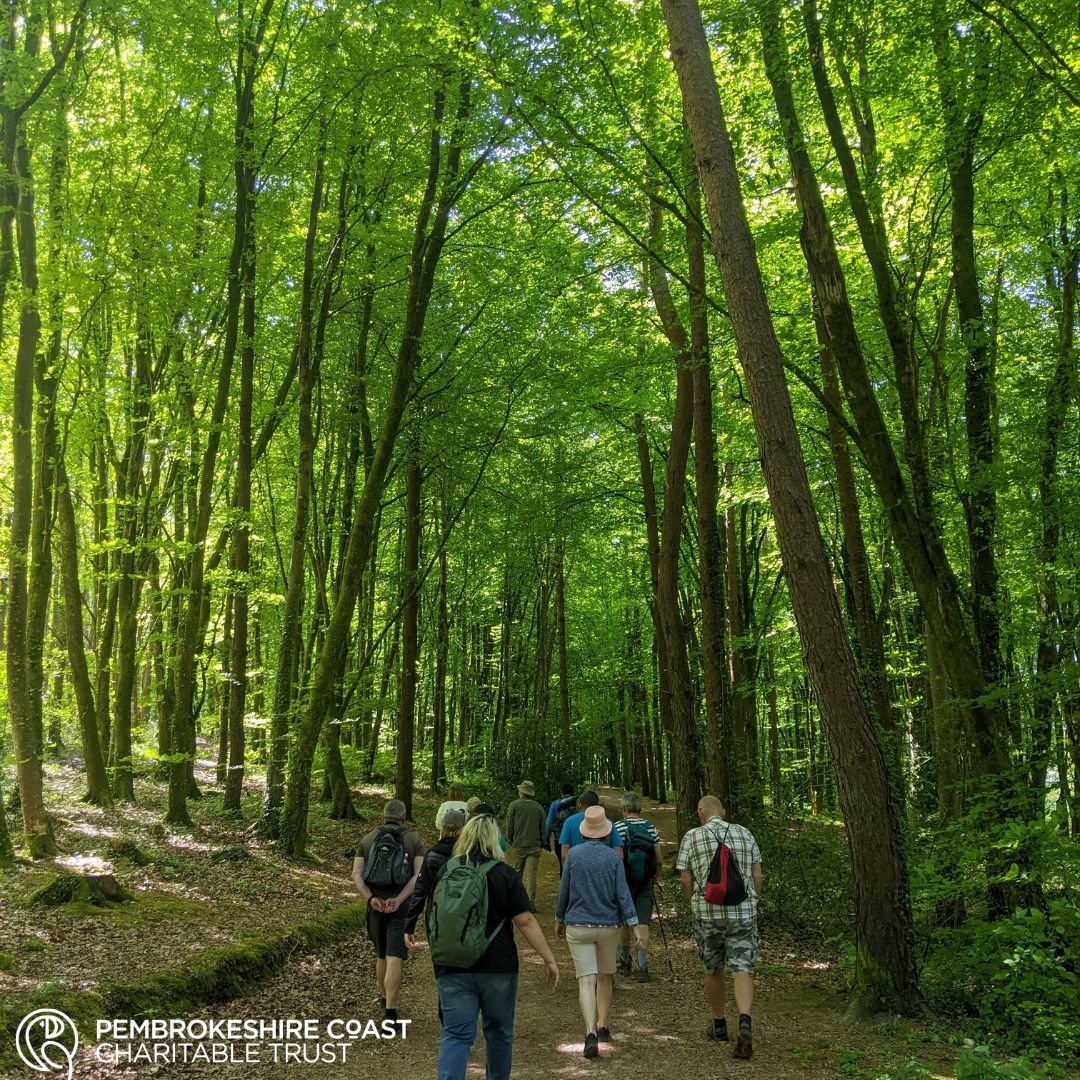 A big thank you to all of our supporters who joined us on our recent Woodland Walk &amp; Talk - we hope you loved it as much as we did! 

If you missed out on this event and want to be the first to hear of our future events, sign up to our newsletter here - pembrokeshirecoasttrust.wales/get-in-touch/