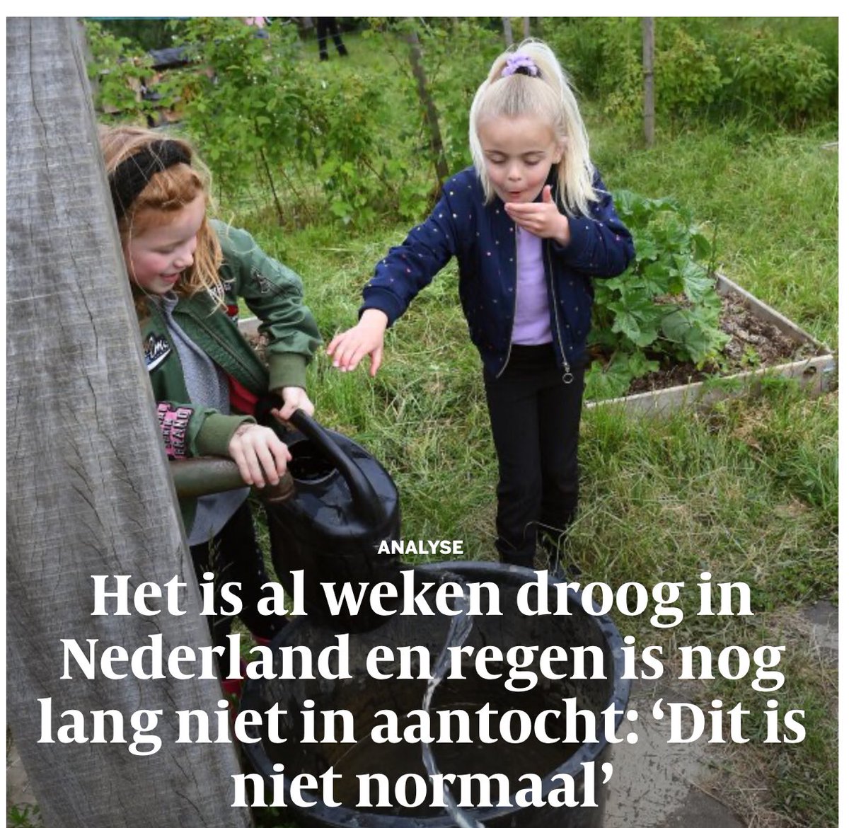 MiesBee's tweet photo. Na 1 van de natste lentes ooit gemeten, Volkskrant be like: https://t.co/wKl5LGDfS7