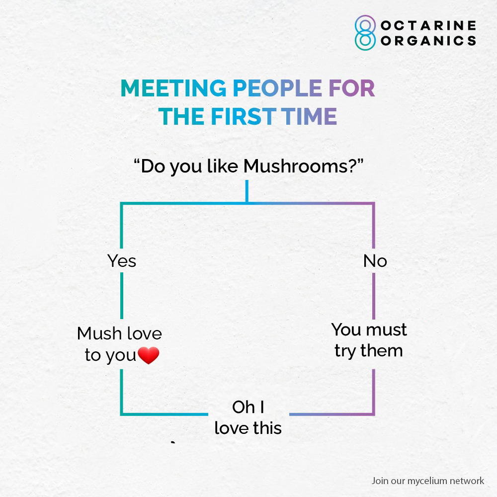 What would you say? 👀

#OctarineOrganics #OO #Mushrooms #MushroomFarming #Vegan #HealthyFoods #Organic #MagicBox #DmToOrder #WhiteOyester #PinkOyester #GreyOyester