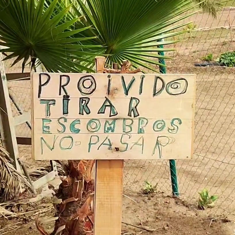 ¡Ostras, qué perlas! tweet media