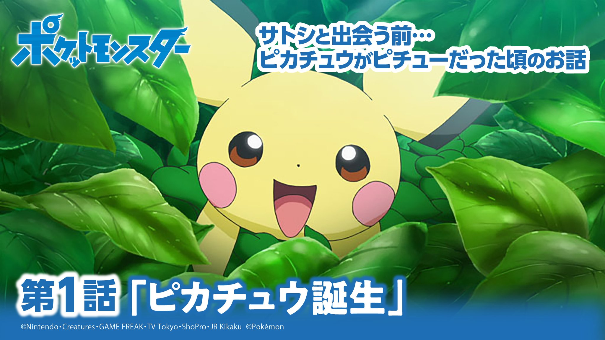 ポケモン公式 on X: 