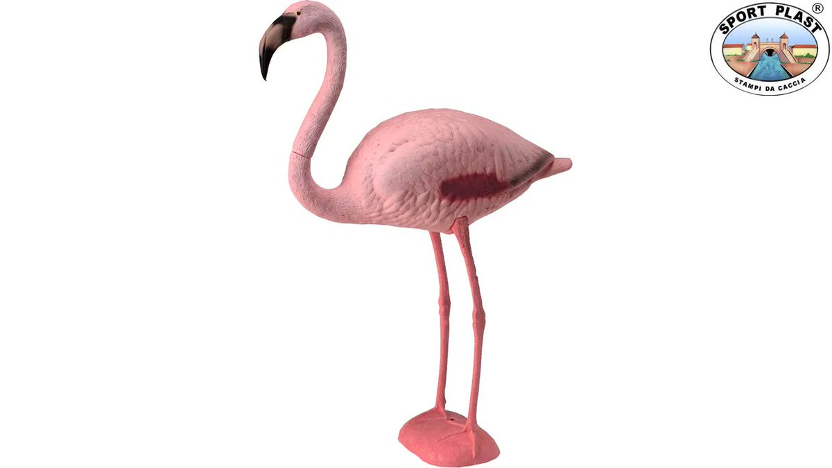 #winitwednesday May prize draw for one sport plast Flamingo  perfect for the yard, garden or in your lounge to enter Retweet ,Like and Follow us @horseandhoof ends 31/05/23  #win #horseandhoof