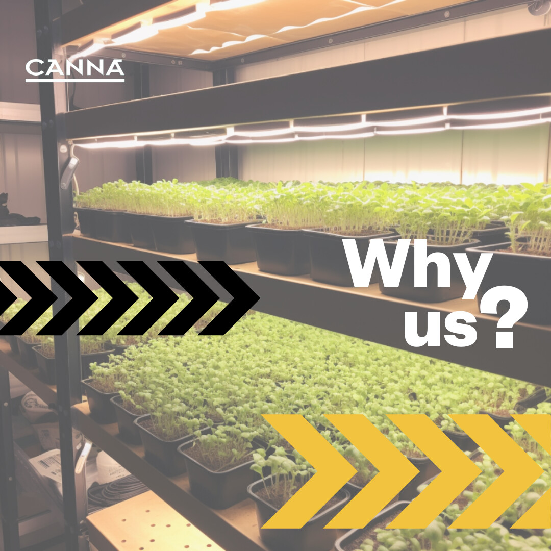 PinPointMedia tweet media