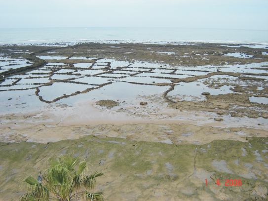 Stonefishweirs's tweet photo. #fishweirs #corrales at #Chipona, investigating the traditional fishing methods used by the local #community. #archaeology, #culturalanthropolgy #material / #nonmaterial #material and #environmental #history. https://t.co/admLRyT50p