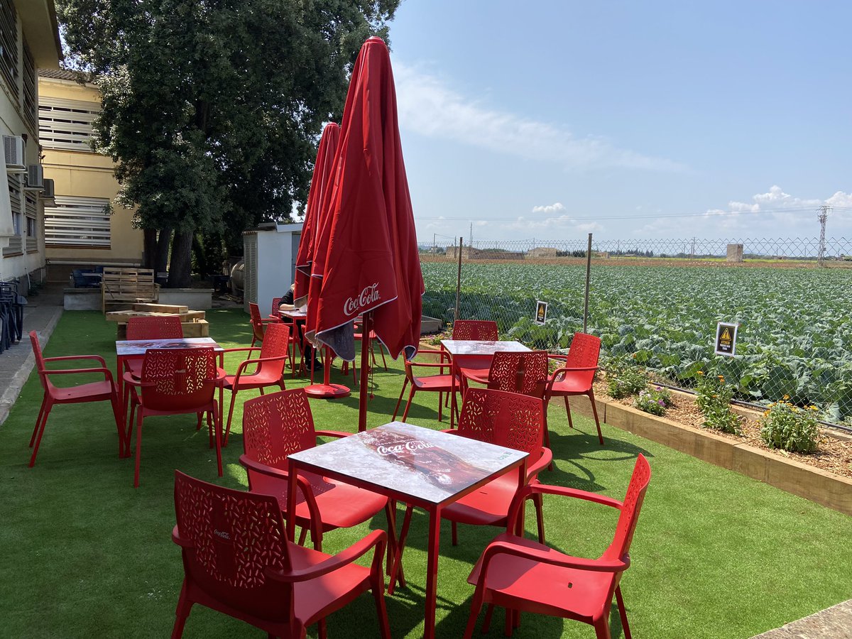 cifpjoantaix's tweet photo. Aquesta setmana els i les alumnes del Grau Mitjà de Jardineria han ajardinat la terrassa de la cafeteria i ha quedat així de bé!!! 🌿🪴👏🏼

#cifpjoantaix #sapobla #formacióprofessional https://t.co/pfLeSzJ0Mt
