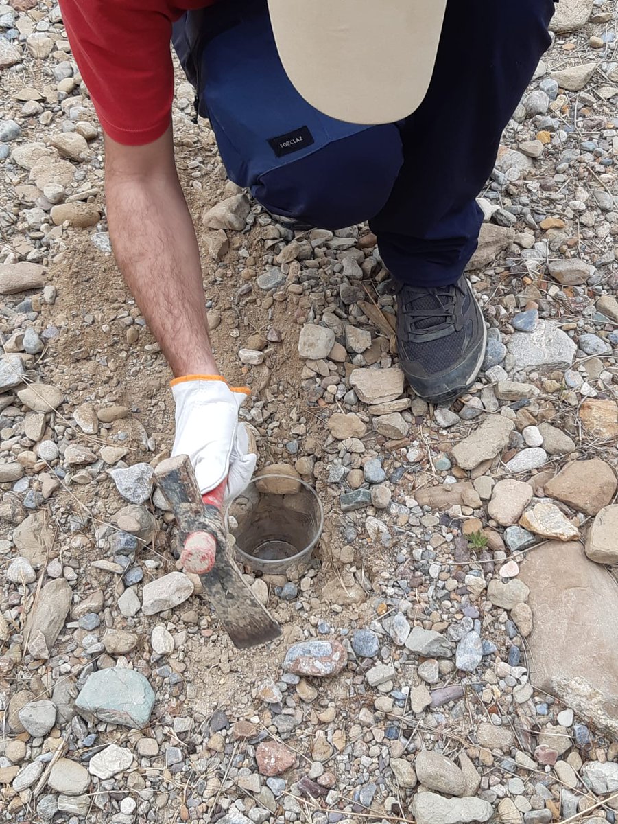 Dry_GUADALMED's tweet photo. This month we met at Segura river basin to ckeck Dry-Guadalmed protocols designed for sampling: aquatic and terrestrial invertebrates, diatoms, physico-chemical parameters and hydro-morphological characteristics in disconnected pools and dry channels. https://t.co/hCPnTwfg1R