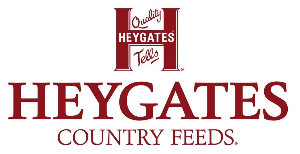 Online now, shop our range of quality feeds from Heygates at standonmill.co.uk 

#rabbitfood #poultryfood #rabbitfeed #poultryfeed #standonmill