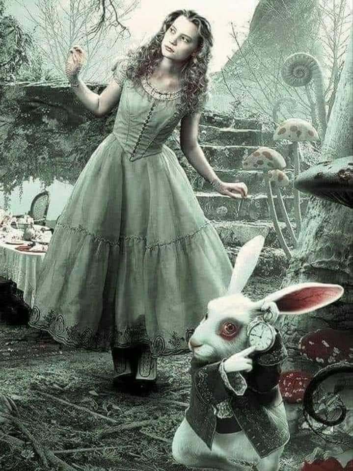JoseFerreiraj94's tweet photo. "-¿Pero tú me amas?— Preguntó Alicia.
-¡No, no te amo!— Respondió el Conejo Blanco.
Alicia arrugó la frente y comenzó a frotarse las manos, como hacía siempre cuando se sentía herida.
-¿Lo ves?— Dijo el Conejo Blanco.
Ahora te estarás preguntando qué te hace tan imperfecta, qué has hecho mal para que no consiga amarte al menos un poco.
Y es por eso mismo que no puedo amarte.
No siempre te amarán Alicia, habrá días en los cuales estarán cansados, enojados con la vida, con la cabeza en las nubes y te lastimarán.
Porque la gente es así, siempre acaba pisoteando los sentimientos de los demás, a veces por descuido, incomprensiones o conflictos con sí mismos.
Y si no te amas al menos un poco, si no creas una coraza de amor propio y felicidad alrededor de tu corazón, los débiles dardos de la gente se harán letales y te destruirán.
La primera vez que te vi hice un pacto conmigo mismo : "¡Evitaré amarte hasta que no hayas aprendido a amarte a ti misma!"
Por eso, Alicia, no, no te amo."
- Atribuido a Lewis Carroll