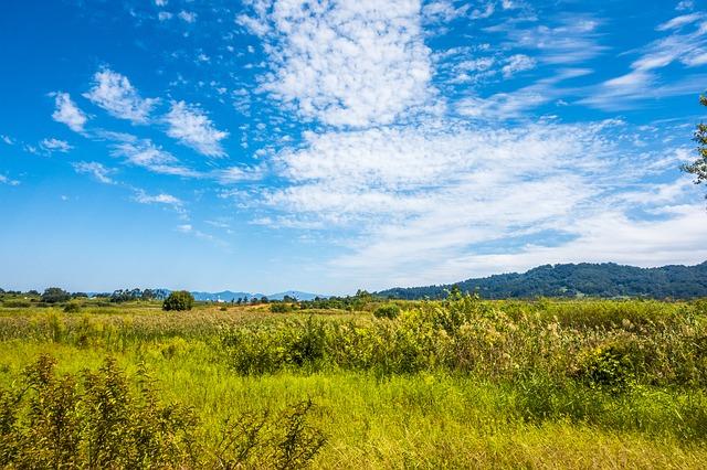 GreenLivingAns's tweet photo. Why Ecosystem Conservation is so Important - #Ecosystemconservation is not just about protecting nature, it is essential for preserving #biodiversity, regulating our climate, and ensuring the continued provision of vital #ecosystemservices.

https://t.co/tLfcGtZL61 https://t.co/qlKAs9cRSP