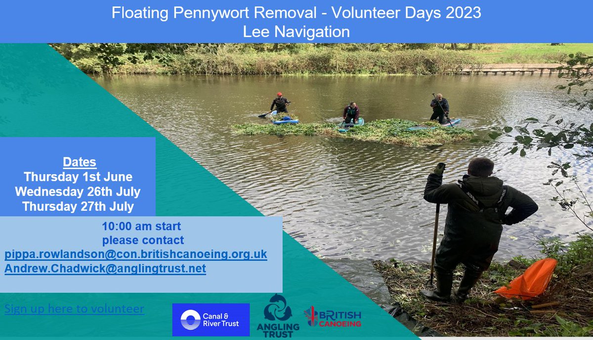 VolOfficer's tweet image. Try something new this @Thames21  #LondonRiversWeek2023 volunteer to remove invasive Floating pennywort. Sign up here: britishcanoeing.formstack.com/forms/floating…… No experience needed. In collaboration with
@CRTSouthEast
@BritishCanoeing
@LeeValleyPark
@LeeValleyPC
@AnglingTrust