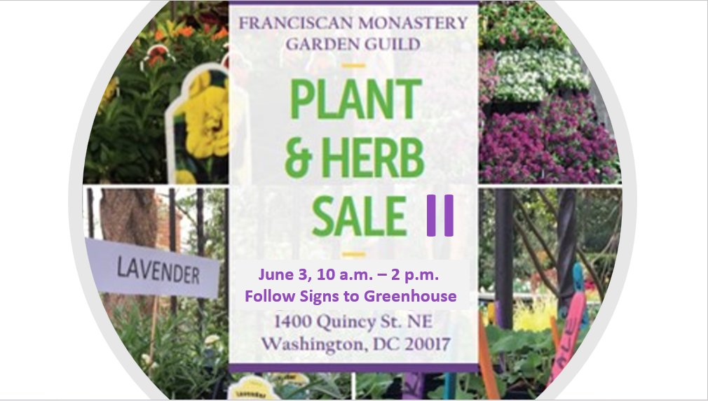 gardenguild's tweet image. FMGG Plant &amp;amp; Herb Sale II-Sat., 6/3/23 (10 am-2 pm)-Follow signs from Main Gate to Greenhouse - Bring boxes &amp;amp; carts but no dogs!
Sale of Azaleas, Figs, Gardenias, Herbs, Hydrangeas, Lilacs, Nandina, Peonies, Roses, Viburnum, Hanging Flower Baskets, &amp;amp; More!
eventbrite.com/e/fmgg-plant-h…