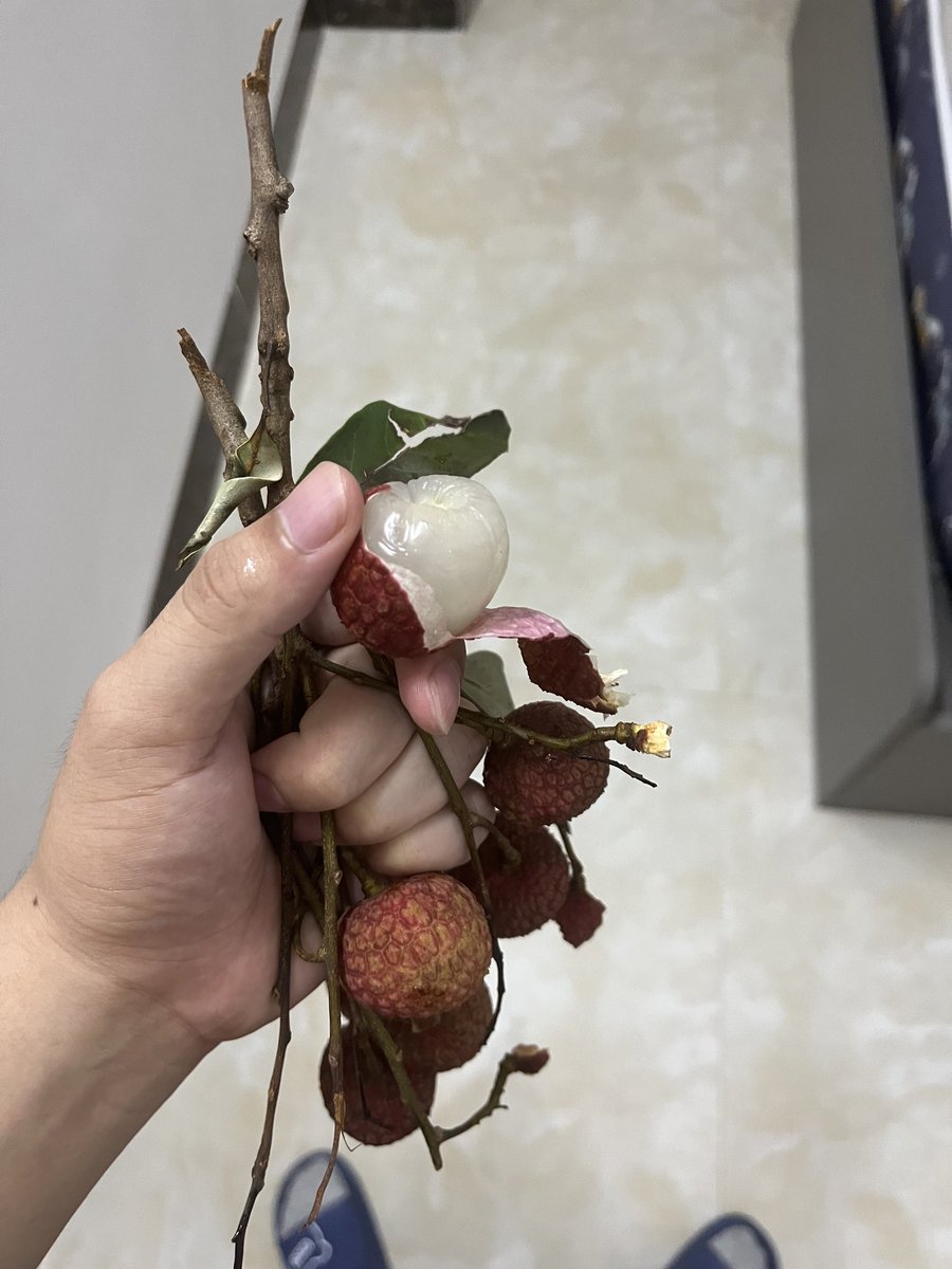 bypx00's tweet photo. 广东的荔枝也太好吃了吧，还很便宜，这就是荔枝城吗 https://t.co/i0hhPkhbGN