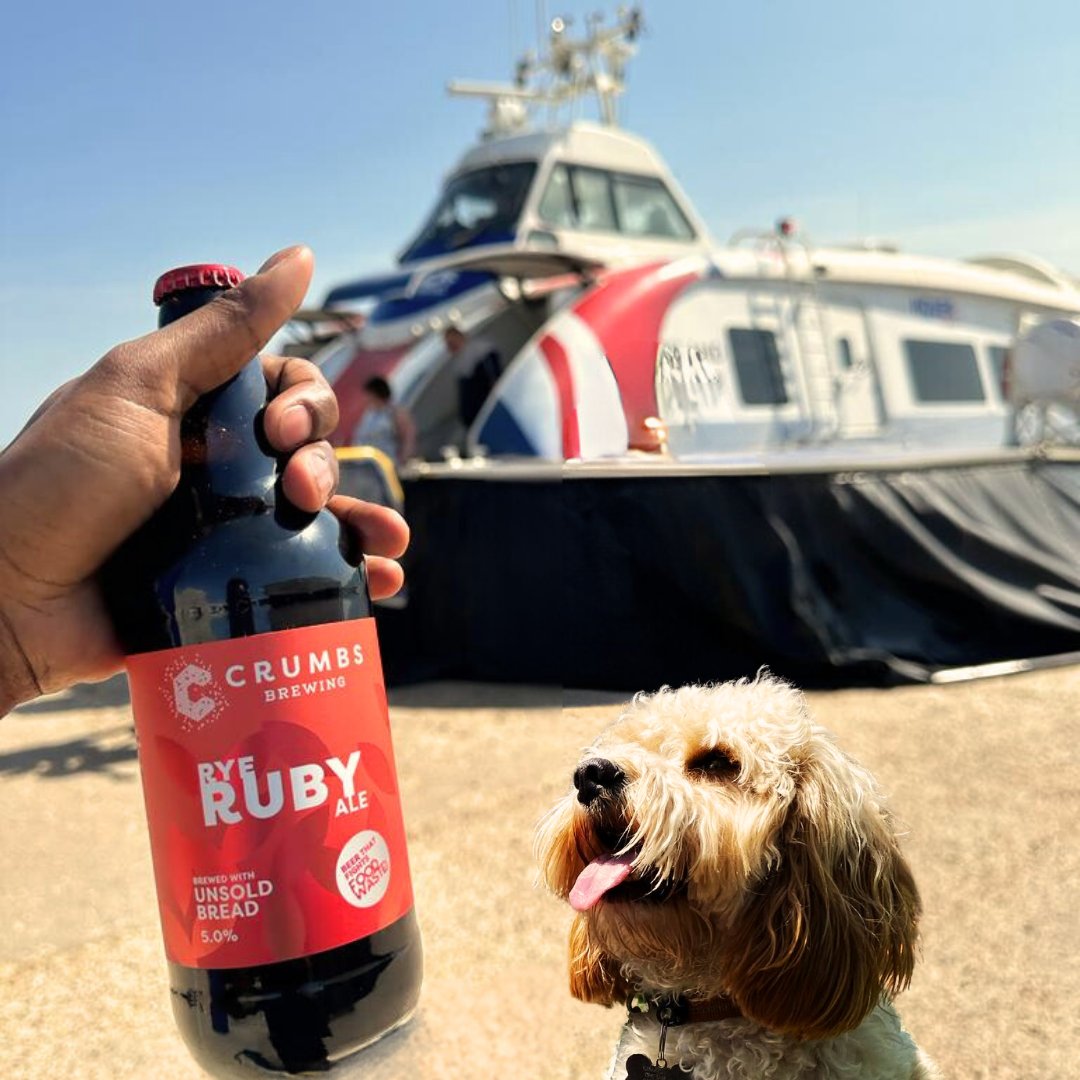 @crumbscavapoo took a quick trip over to the Isle Of Wight this week to visit @goddardsbrewery! 🍻

*Disclaimer - You're not allowed to drink alcohol whilst on the Hovercraft! Don't ask us how we know... sorry <a href="/hovertravel/">Hovertravel</a>.. 😇*