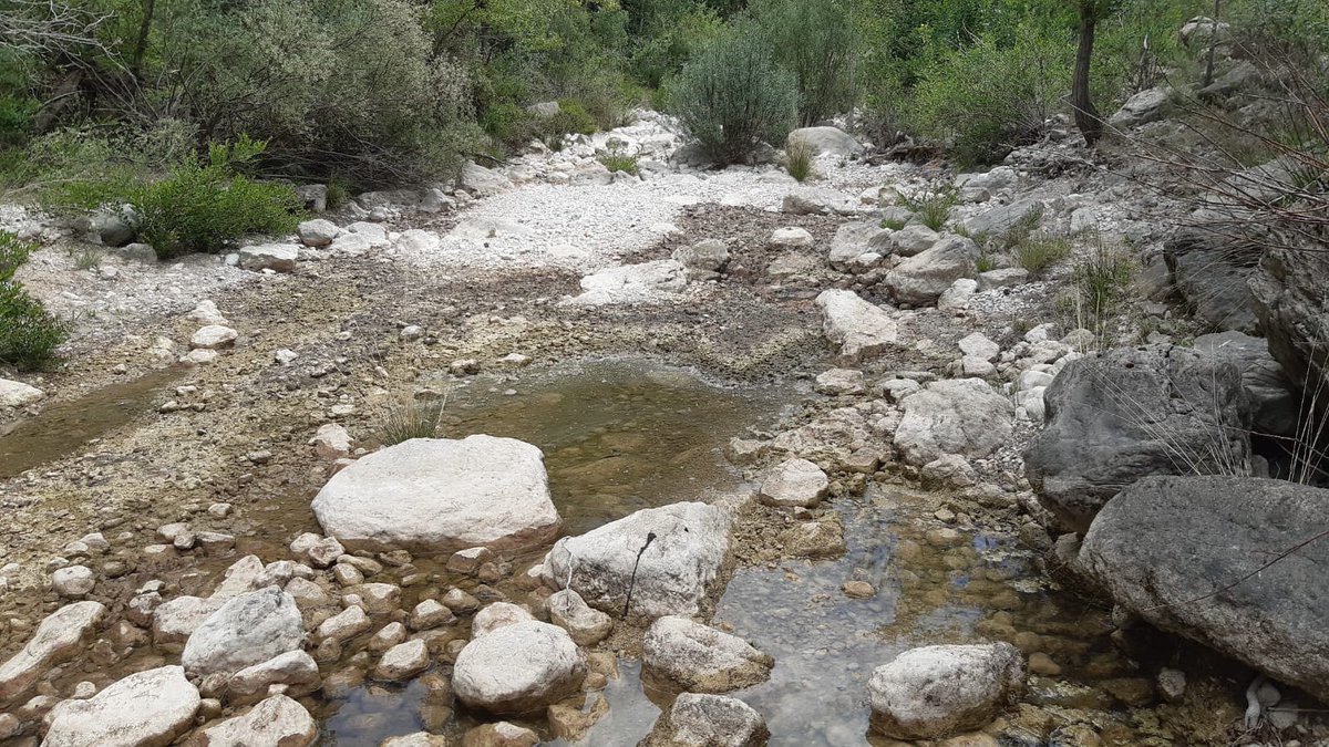 Dry_GUADALMED's tweet photo. This year the main Dry-Guadalmed goal is to sample 100 disconnected pools and 100 dry riverbeds along Llobregat, Ter, Besós, Ebro, Menorca, Tajo, Júcar, Segura, Guadiana and Guadalquivir river basins.💪 https://t.co/pkq7Z0gXYJ