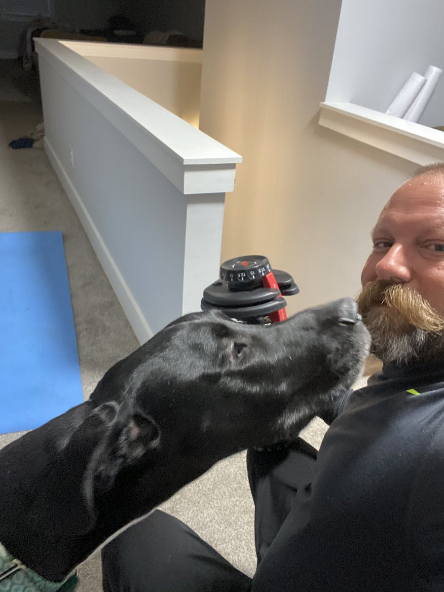 hocojones's tweet photo. Workout partner! #greatdane #BearDown #workoutwithfriends https://t.co/7Cq68io3oV