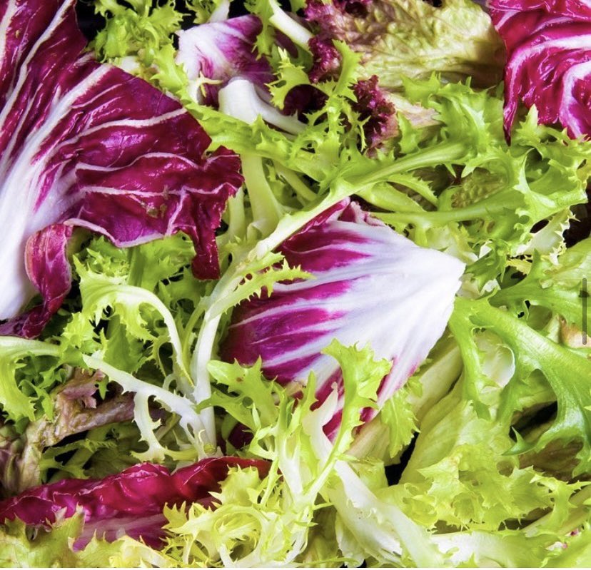 Foodari's tweet image. Betts' salads are growing beautifully, and you'll be pleased to know that the full range of local leaves and heads should be available within the next week or two 💚 @ljbettsltd 

#foodies #passion #extramile #foodari #notyourordinary #helpkentbuylocal @producedinkent