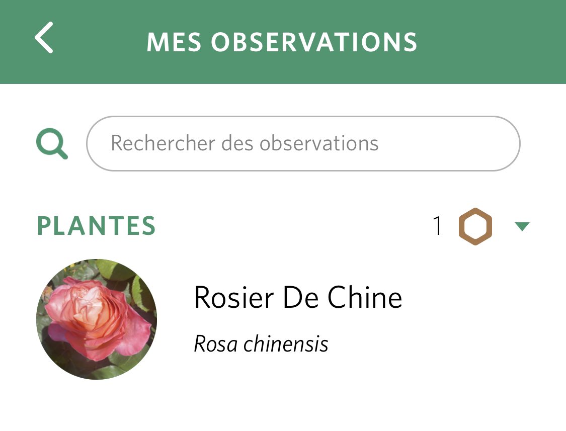Décidément… tout vient de Chine.