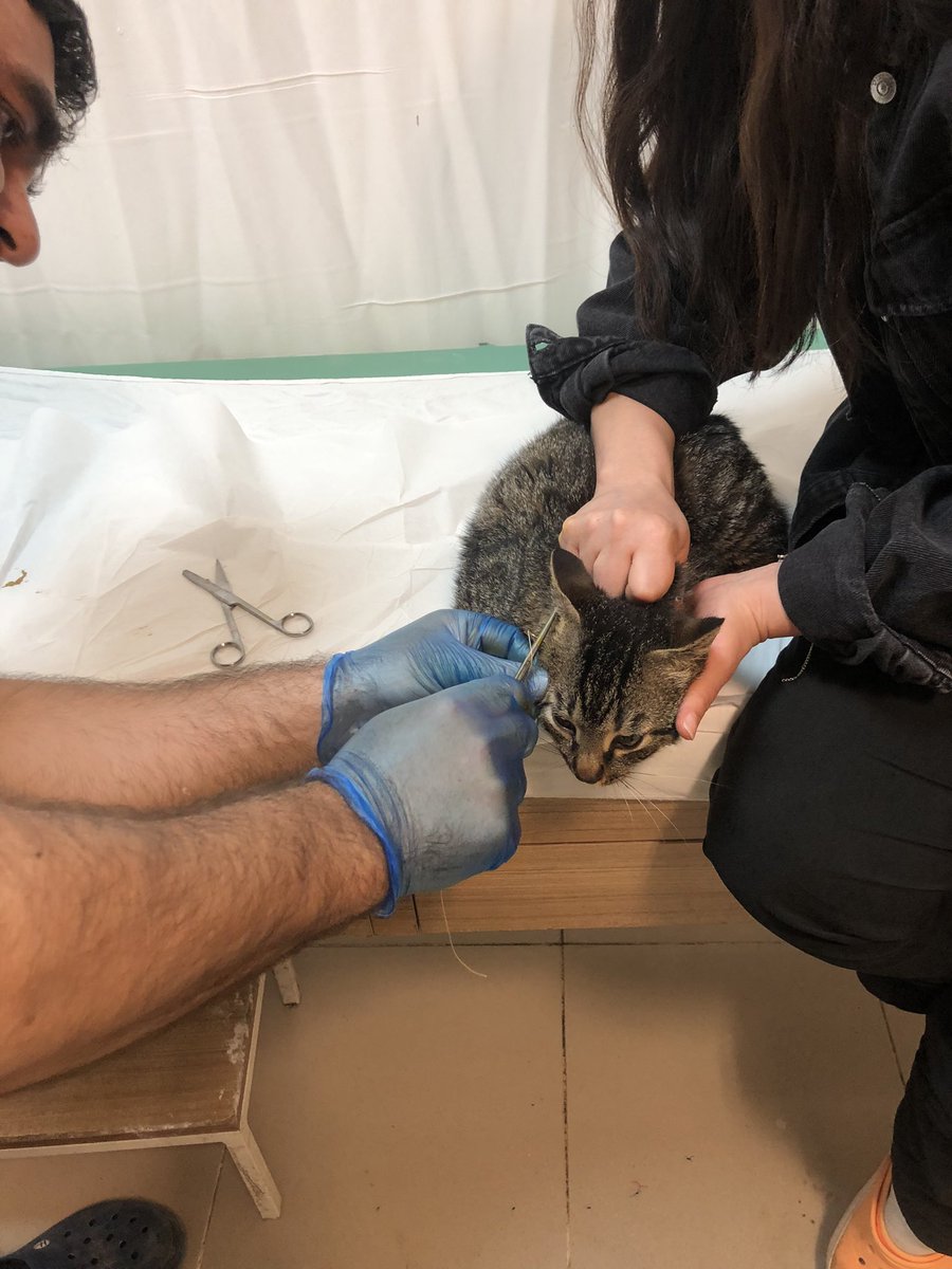 ylmzedanur's tweet photo. Madem yapabiliyordunuz davuk neden bakmadınız .. https://t.co/4kOdZjOXwD