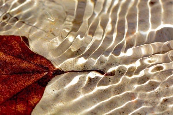 Lennart Björneborn tweet media