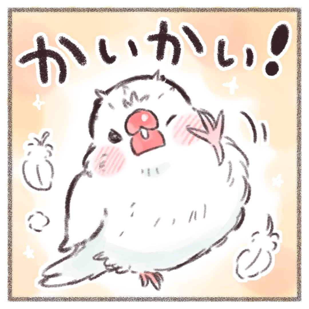 文鳥ちゃんは換羽で体がカイカイ!🕊️💦  