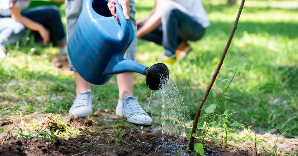 I recently learned a new term - #socialreproduction. Upon learning the definition, I suspect you, like me, will think: “So that’s what social scientist call it.” In other words, while the term may be new to you, the concept is not. 
 - mailchi.mp/fb0fb4b317f6/s… #crisisofcare