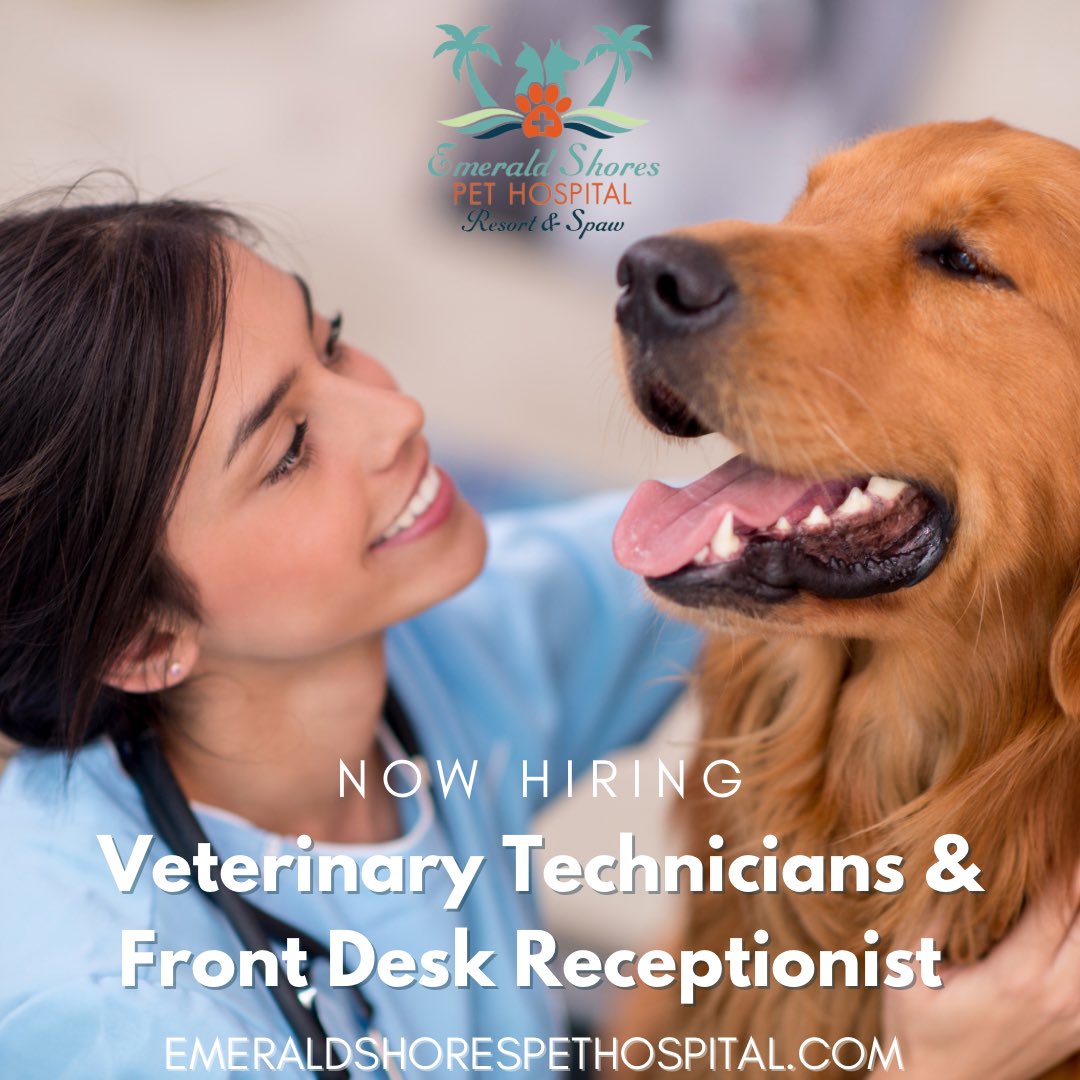 🐾Do you know someone who’d be perfect for the job? Tag them here and spread the word! We are hiring Veterinary Technicians & Front Desk Receptionists! 

Please email your resume to: emeraldpetvet@gmail.com

🐾 
#hiring #jobs #jobavailable #santarosabeach #sowal #30a #destin